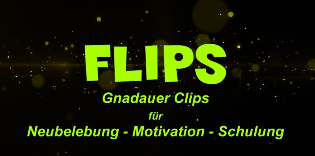 Mehr über den Artikel erfahren Flips