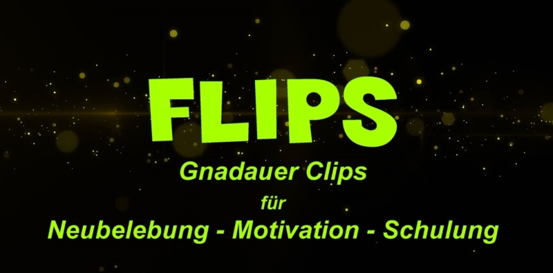Du betrachtest gerade Flips